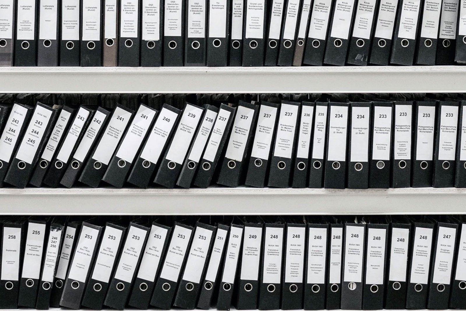 RIng Binder Files on Shelves Ring Binder Files on Shelves